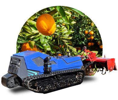 Light-weighted Crawler Tractor With Rotary Tiller