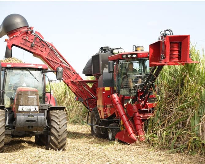 sugarcane-Harvester